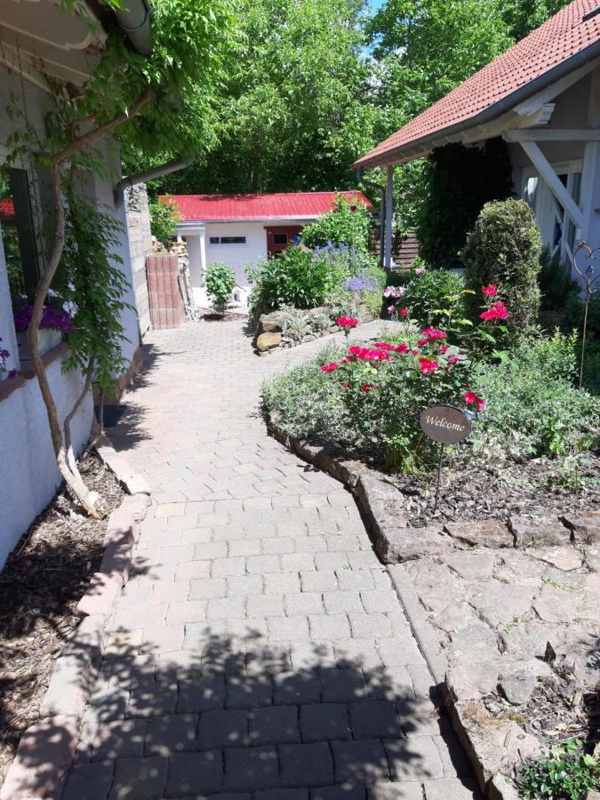 Ferienwohnung im schönen Zellertal Wachenheim an der Weinstraße Exterior foto